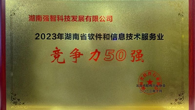 IT驻场运维服务：性价比背后的考量因素**